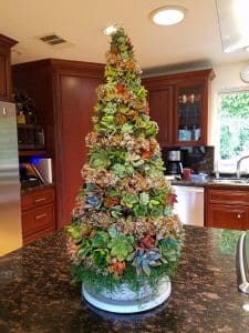50 Stunning Succulent Christmas Trees