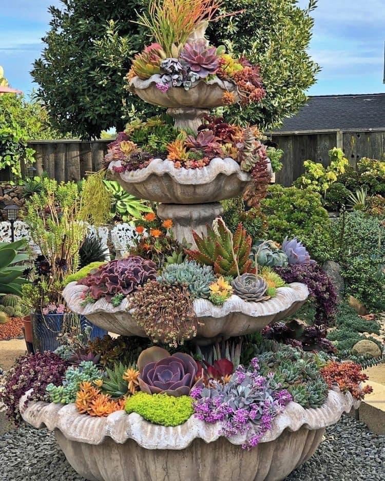 Beautiful Succulent Fountain Planter Ideas