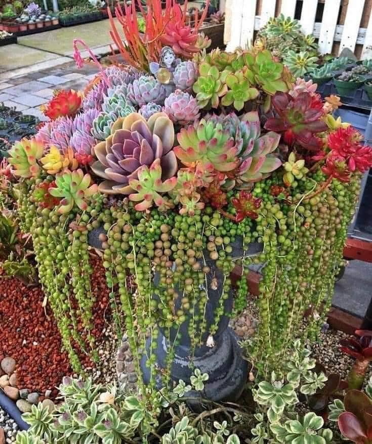 Beautiful Succulent Fountain Planter Ideas