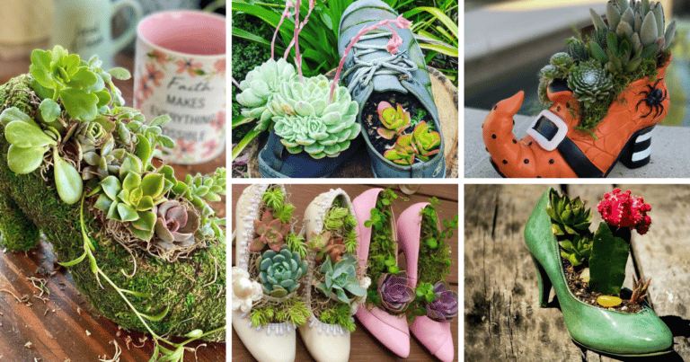 20 Shoe Succulent Planters To Inspire Your Creativity