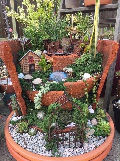 Succulent Fairytale Garden