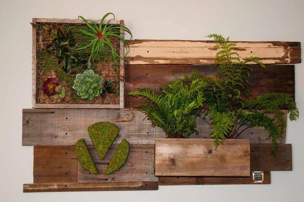 25 Vertical Succulent Living Wall Garden Ideas