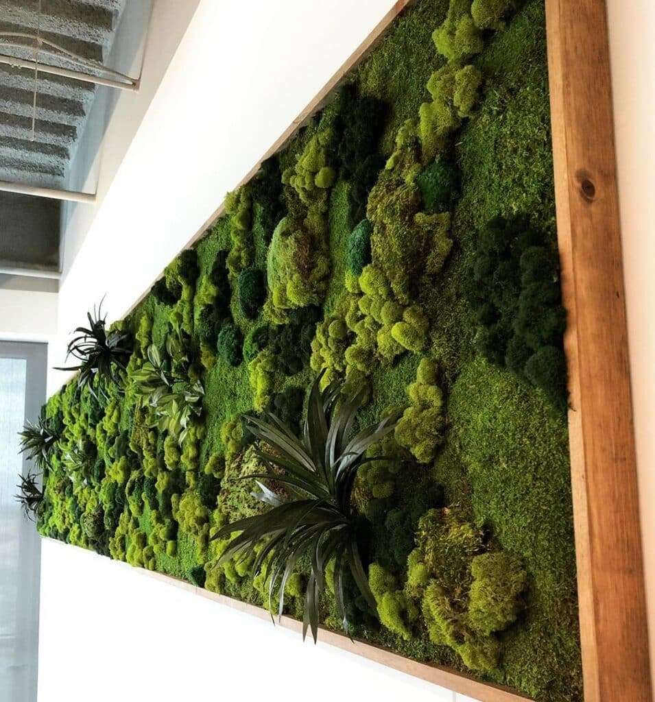How To Grow And Care For Vertical Living Wall Succulents