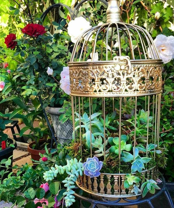25 Birdcage Succulent Planters For Your Creative Gardening