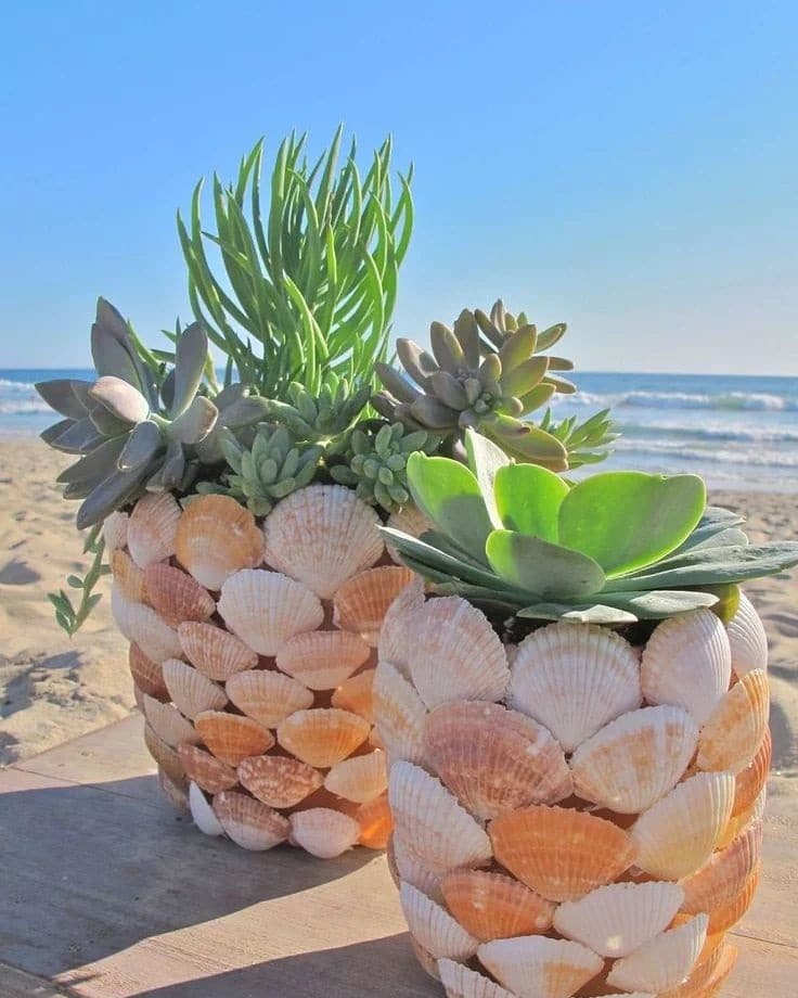 Seashell Succulent Terrarium
