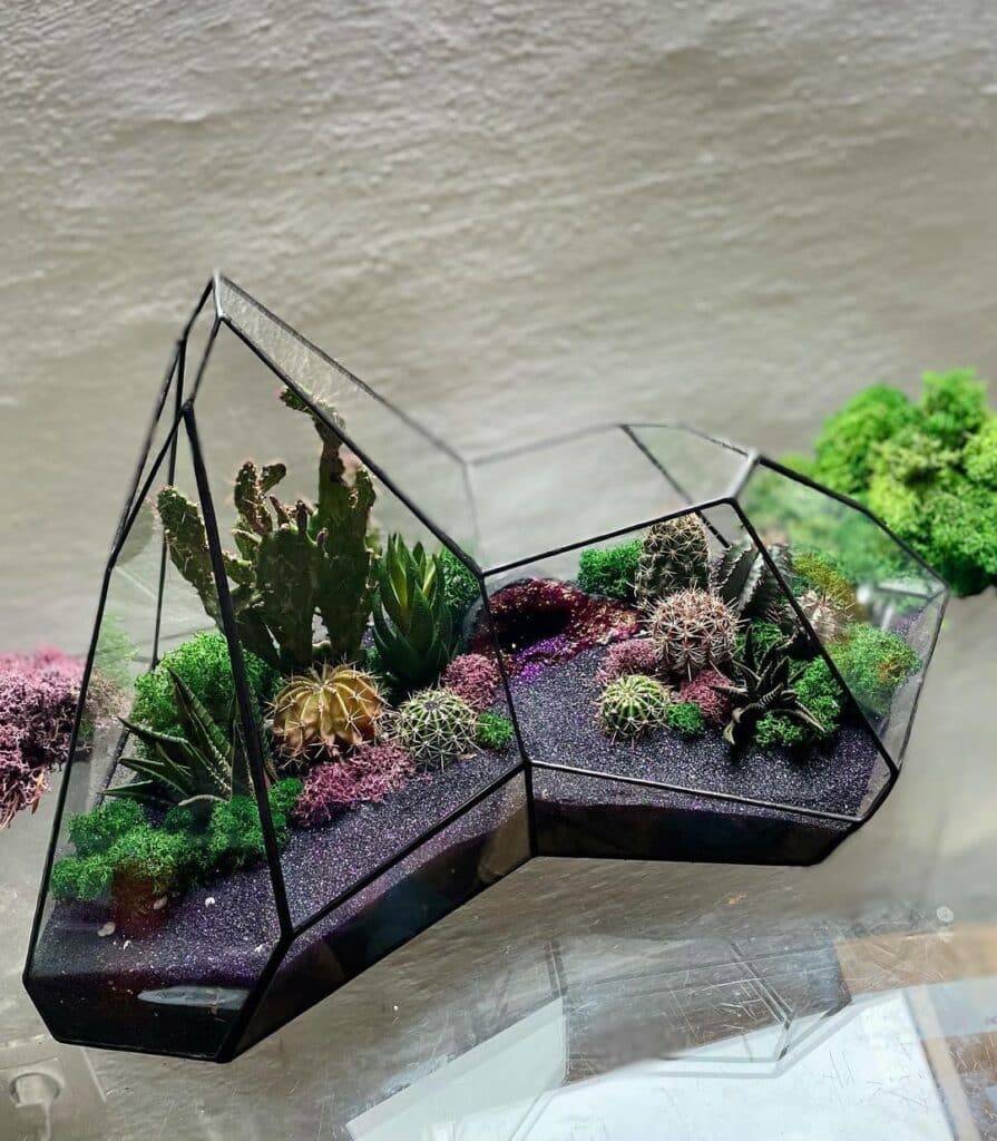 Enclosed Succulent Terrarium