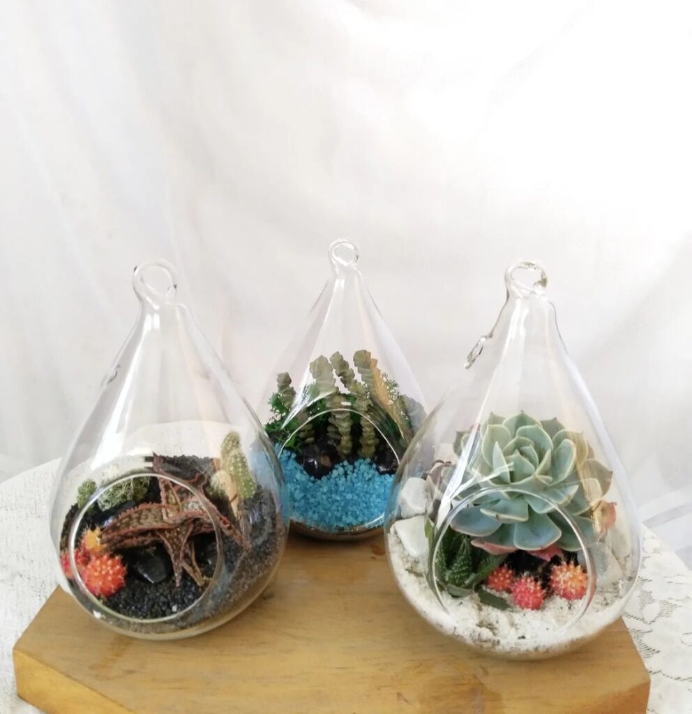 Teardrop Glass Succulent