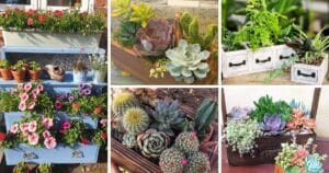 10 Gorgeous Succulent Wood Planter Ideas For Your Home!