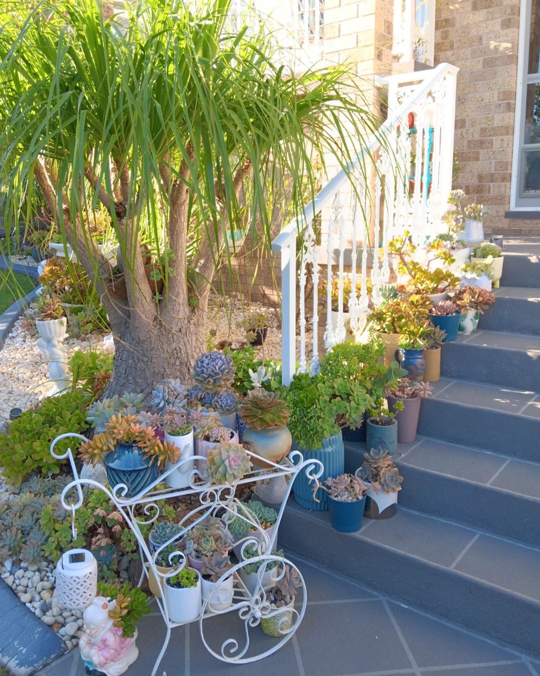 Stunning Succulent Landscape Designs For Your Front Yard!