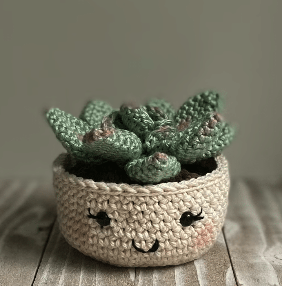 How To Crochet Succulent Plants: A Step-By-Step Guide