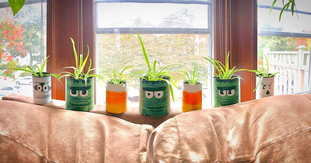 From Trash To Treasure: 10 Stunning Succulent Planters