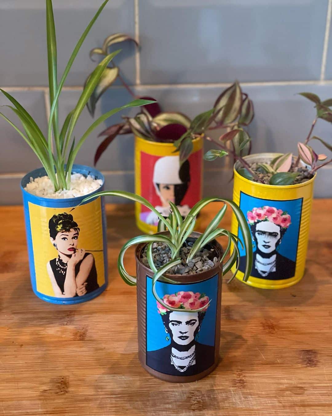 Top 10 Interesting Facts About Recycled Can Planters