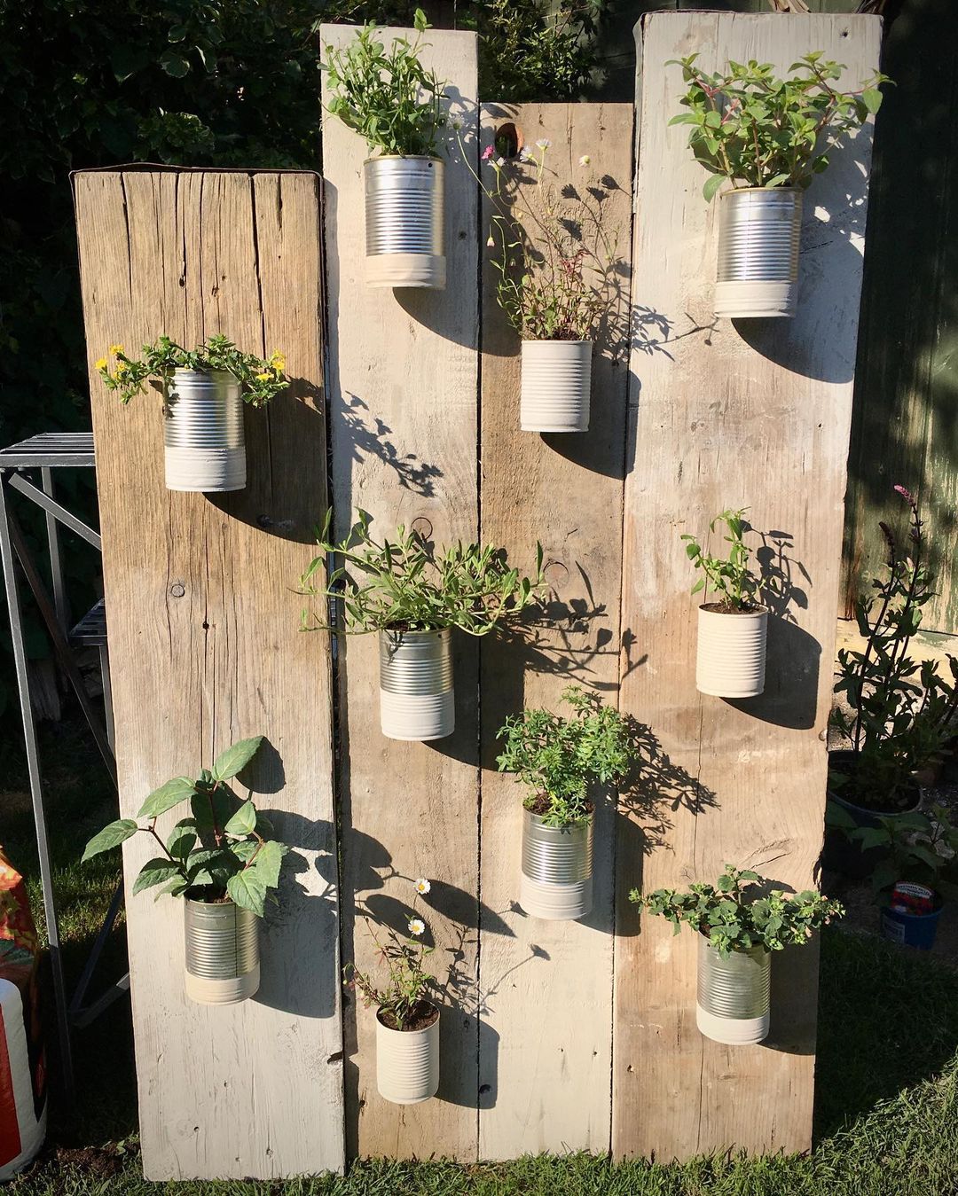 Top 5 FAQ And Answers About Recycled Can Planters