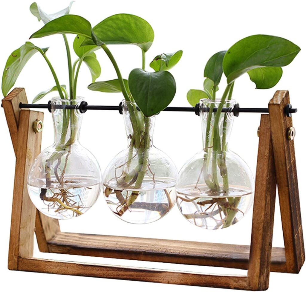 Plant Terrarium with Wooden Stand, Air Planter Bulb Glass Vase Metal Swivel Holder