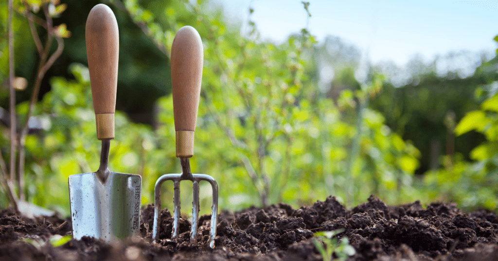 Top 30 Gardening Products For Plant Lovers