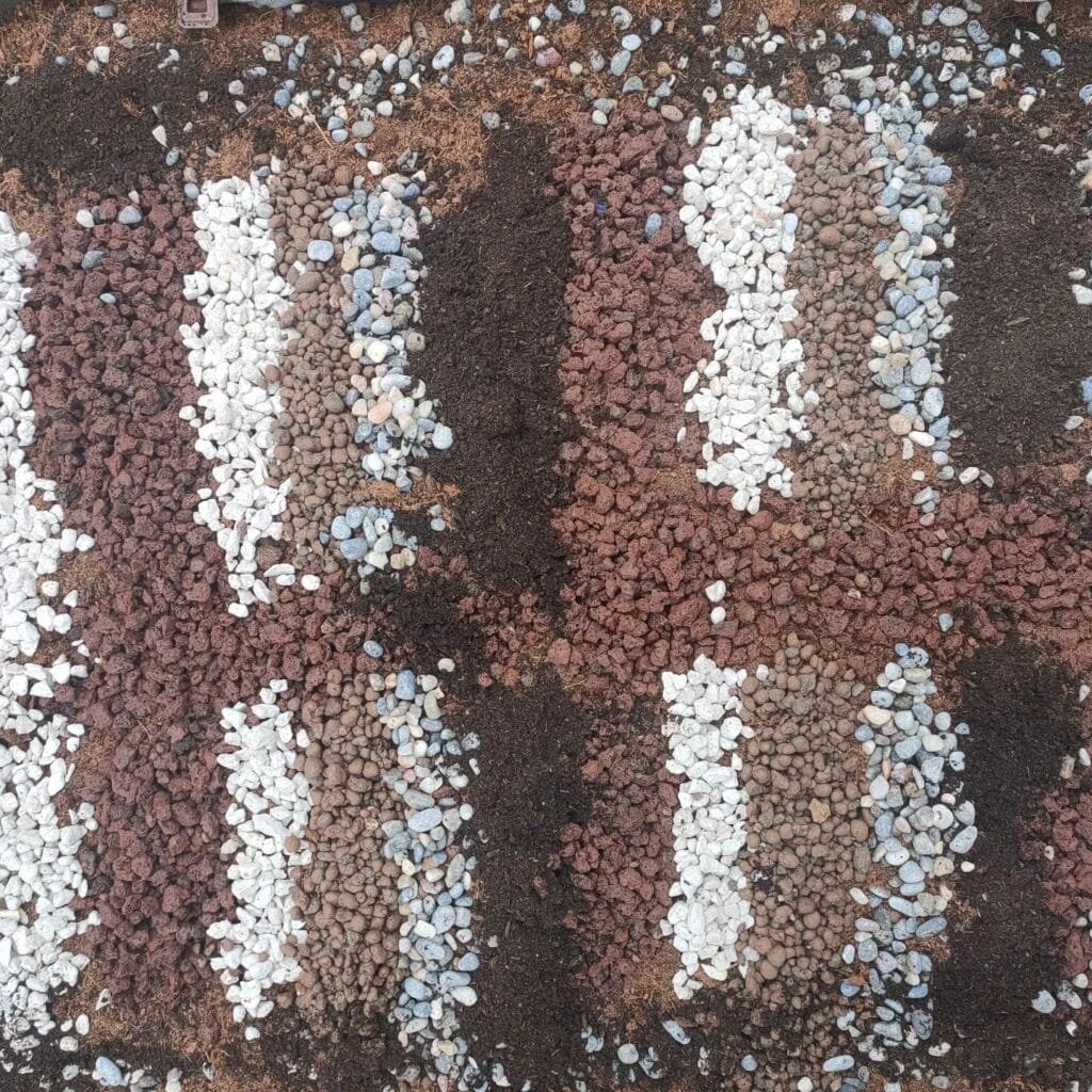 Adapting Succulent Care To Any Environment