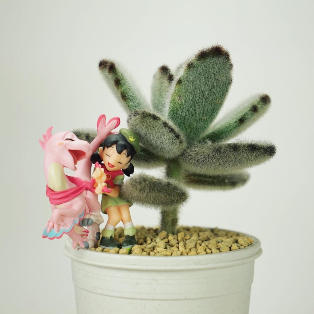 The Comprehensive Guide To Teddy Bear Succulent (Kalanchoe Tomentosa)