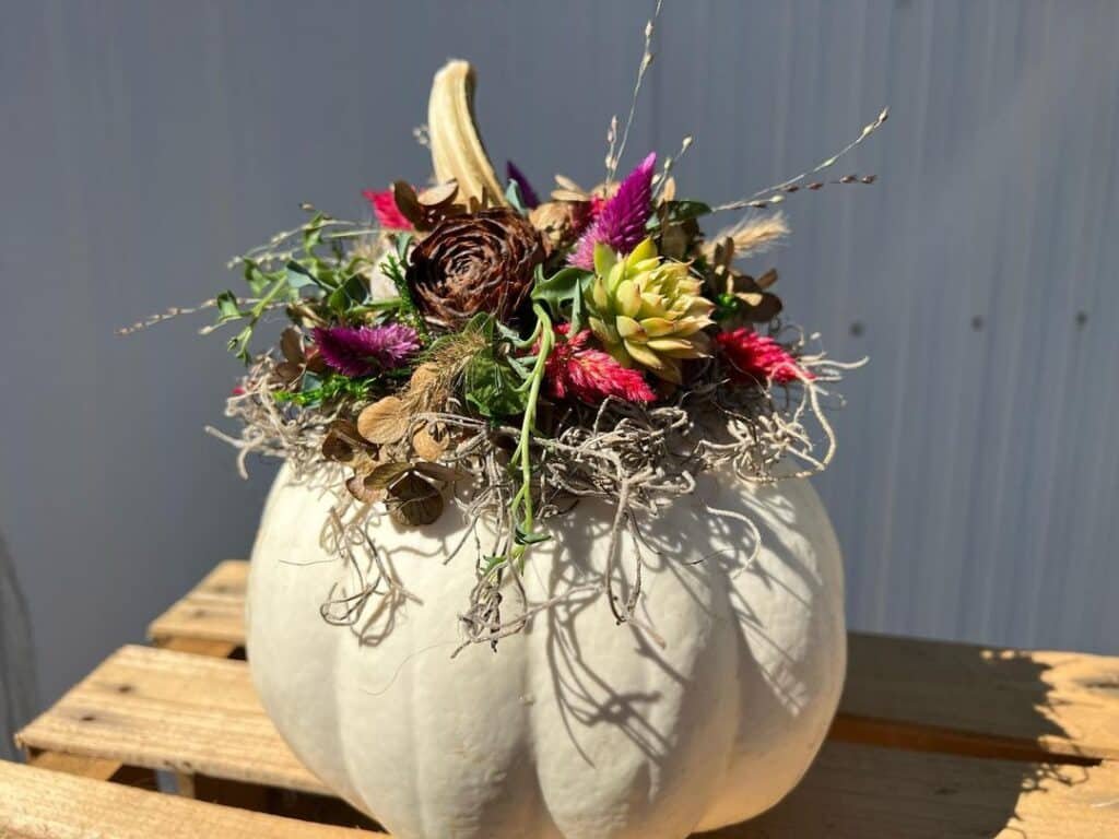 The Ultimate Guide To Crafting Your Own Succulent Pumpkins: A Fall Sensation