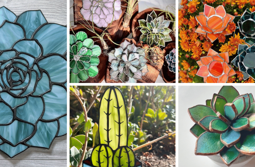 The Alluring World Of Stained Glass Succulents