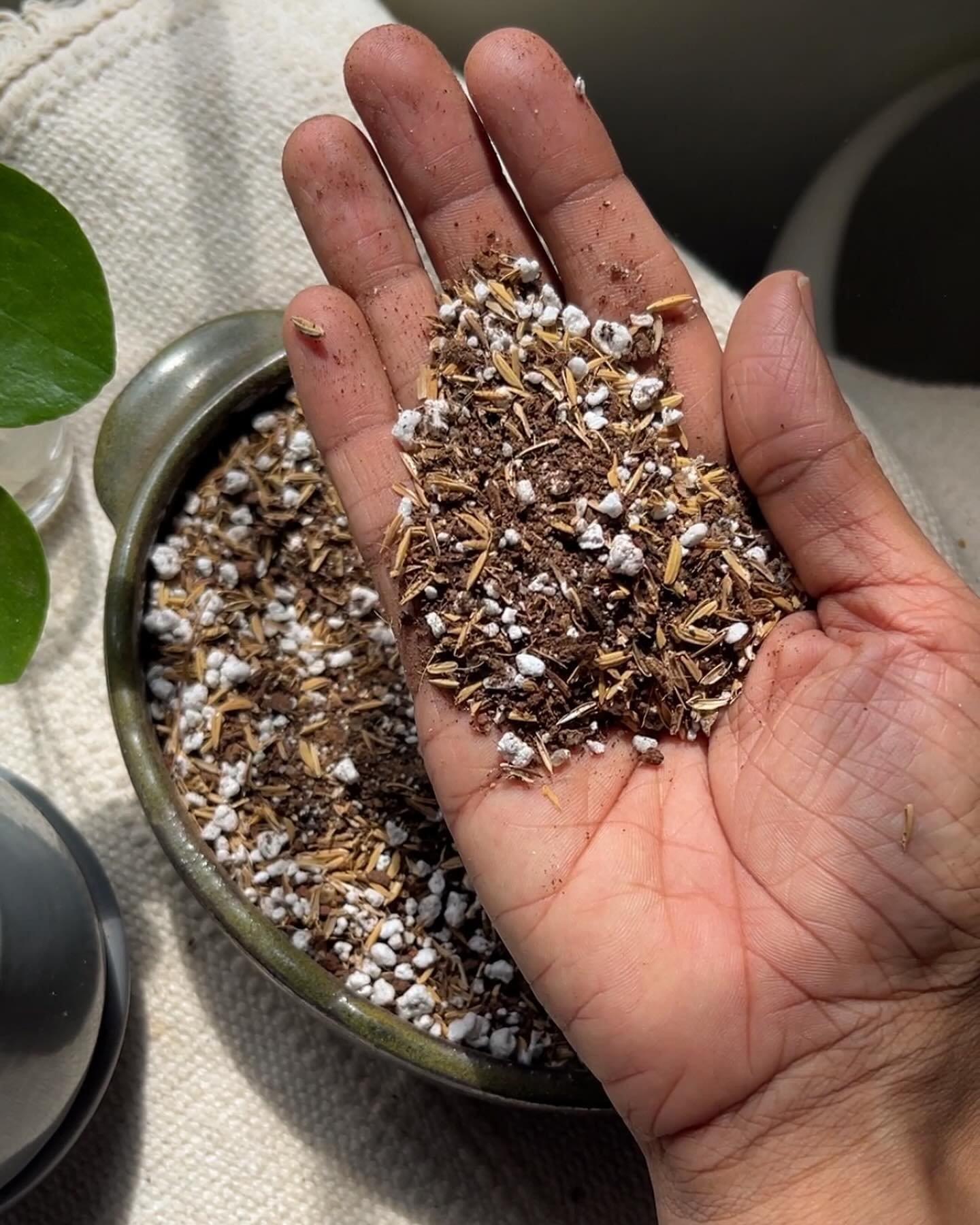 How to Maximize Soil Health
